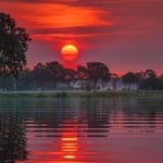 Isaac Belmonte avatar